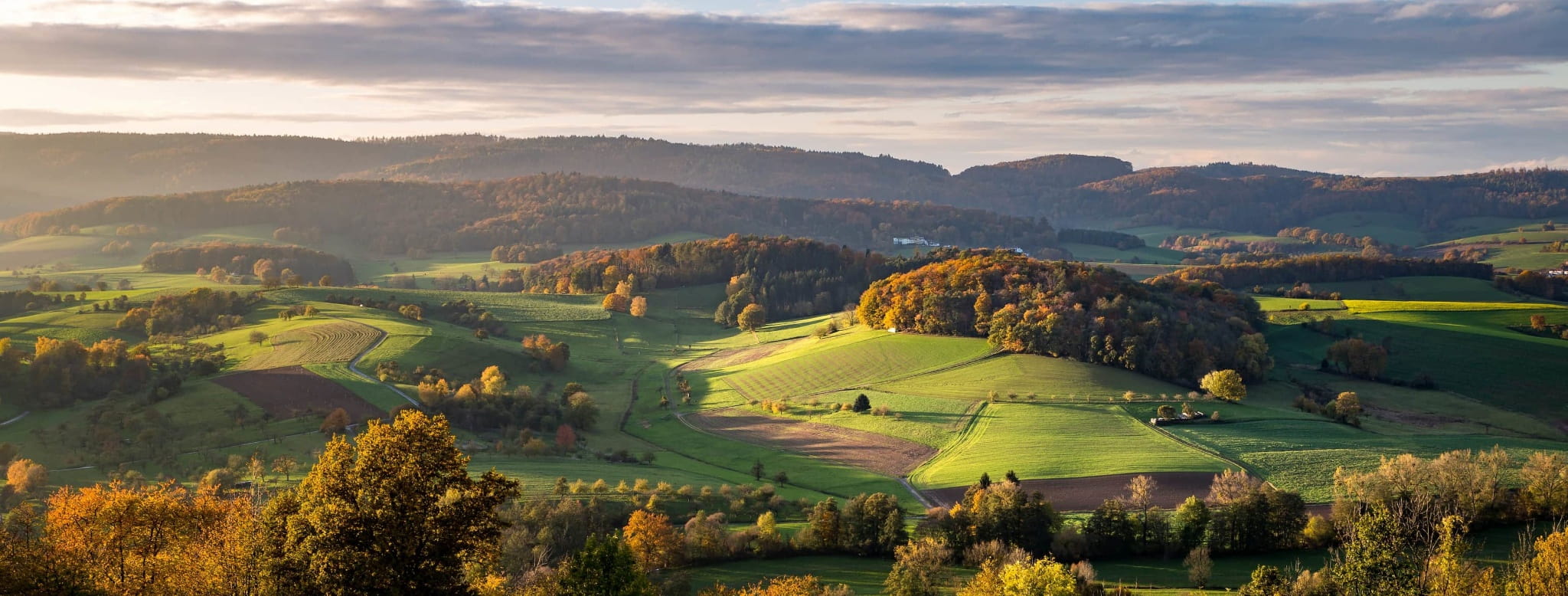 Erleben im Odenwald – Burghof Brombachtal