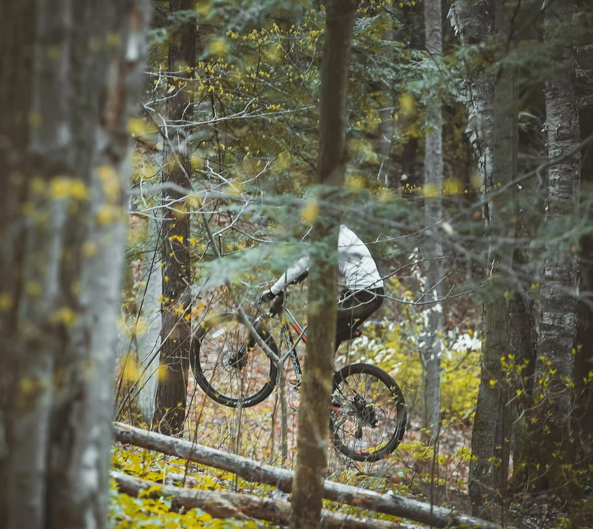 Radfahren und MTB im Odenwald – BR1-Route ab Burghof