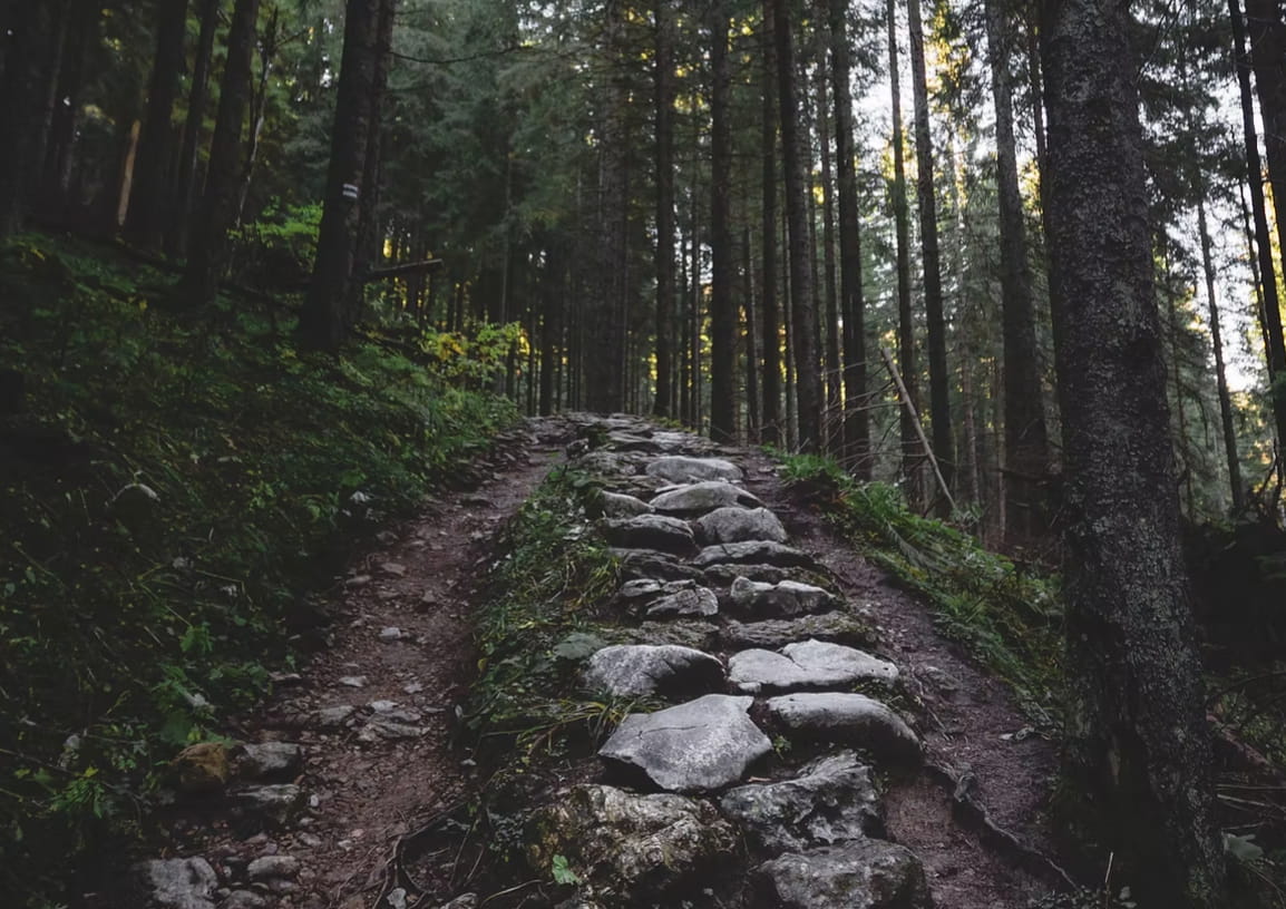 Wandern im Odenwald ab dem Burghof Brombachtal